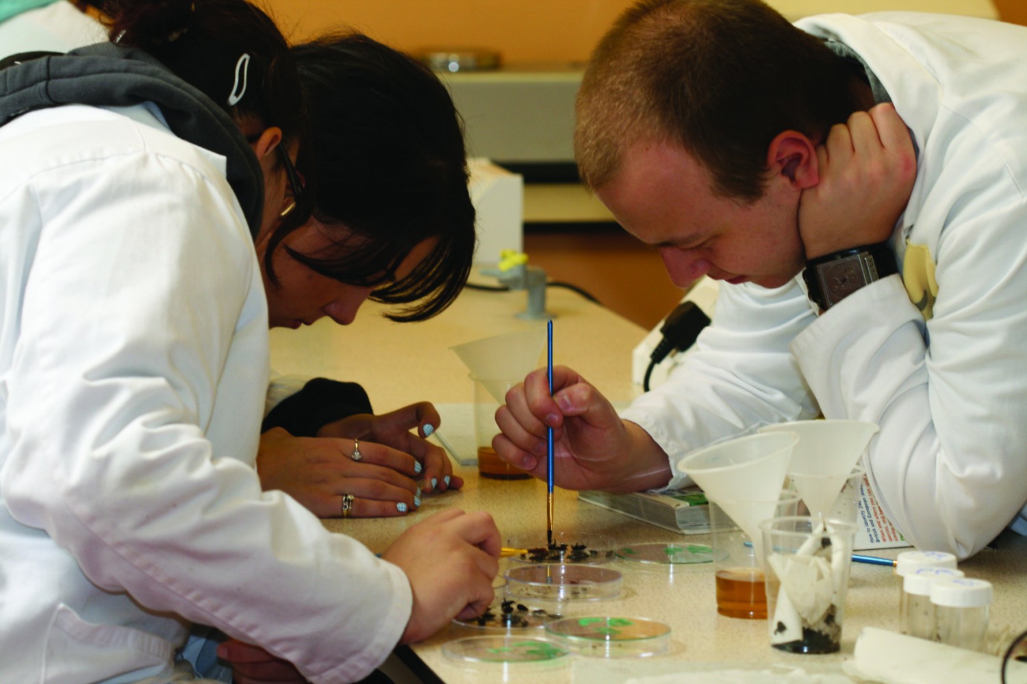 lab work Reaseheath College