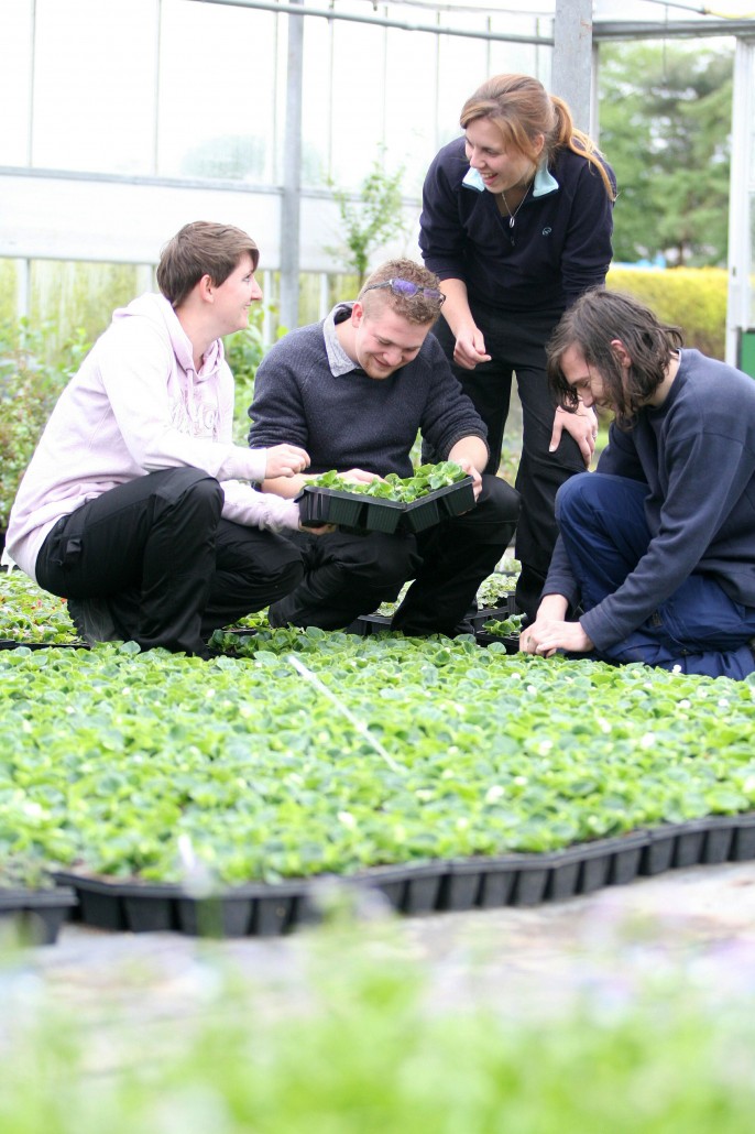 Horticulture student in greenhouses 2 Reaseheath College