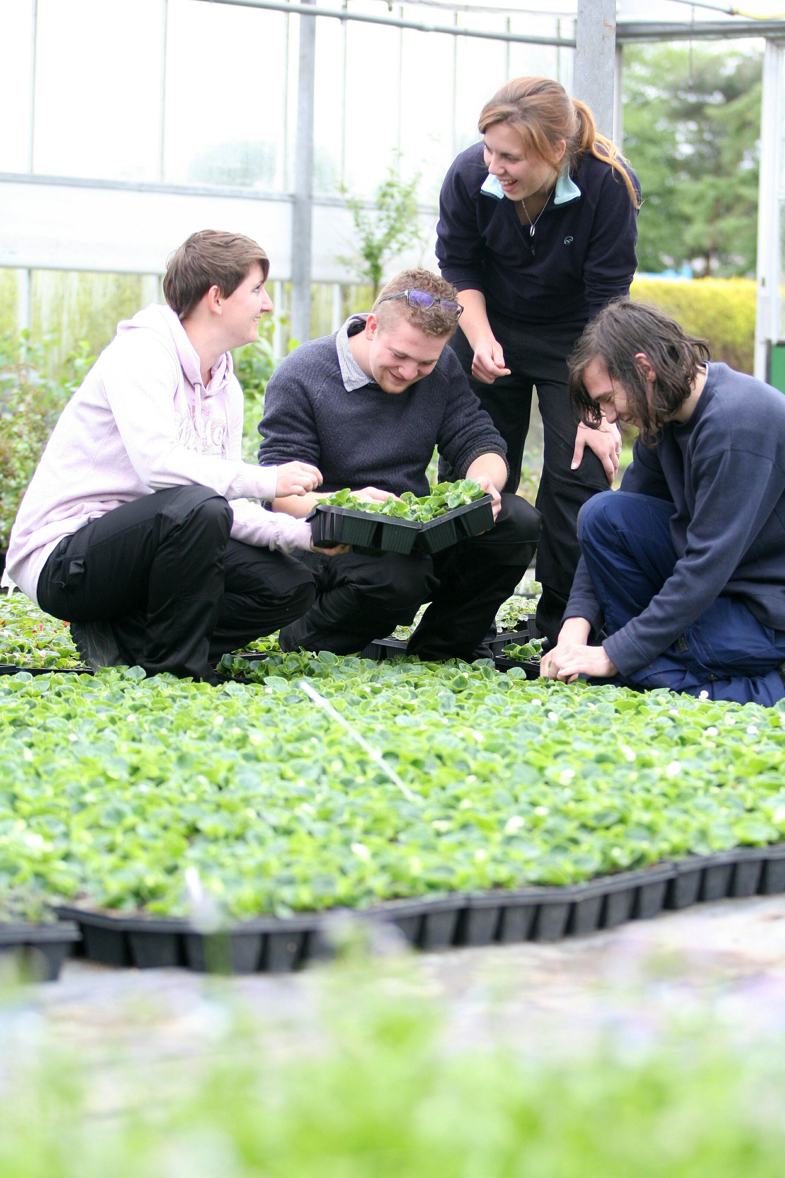 colleges for phd in horticulture
