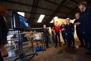 David Russell joins agriculture students looking at screen images of pregnancy testing in cattle