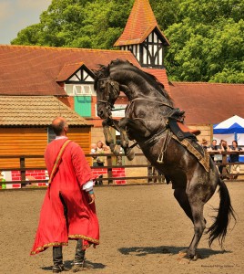 Devils Horsemen Daniel Naprous and his black stallion perform.
