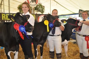 Liberty Turner, Kirsty Taylor and Becky Harper with heifers