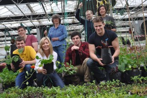 The show garden team busy growing on their vegetables 