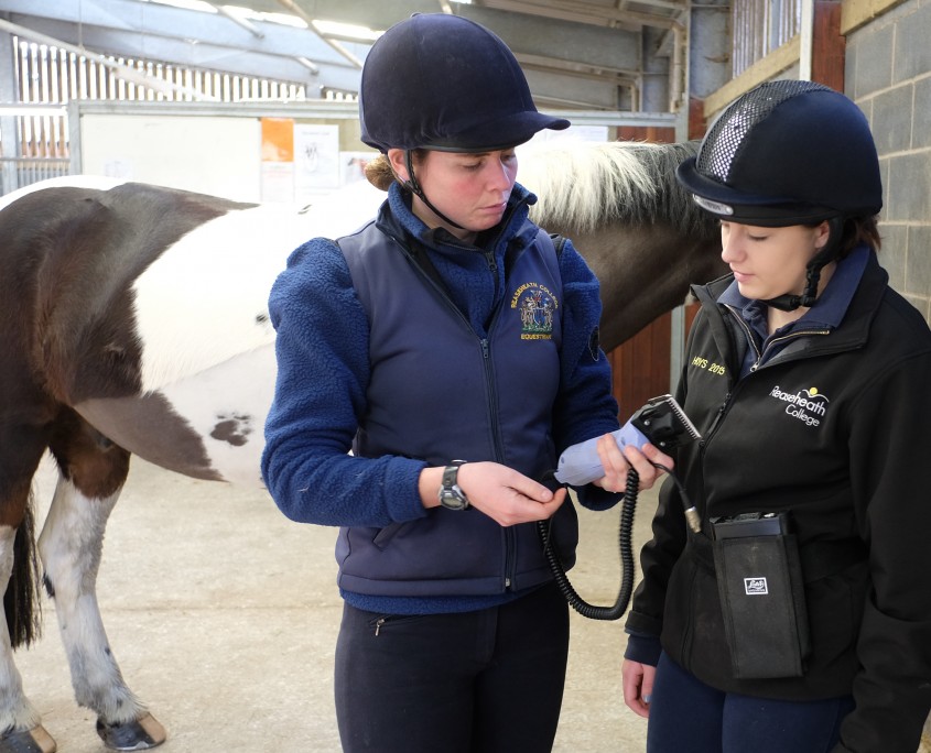 Apprenticeships we offer Reaseheath College