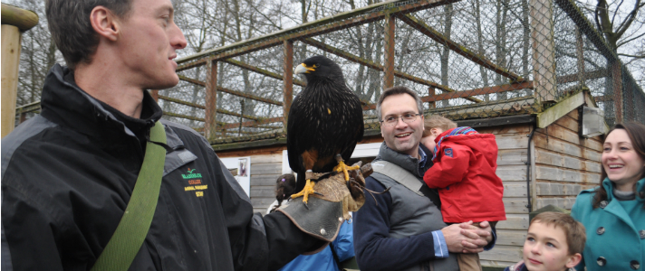 Keeper Mitch Doyle and Johnny the striated Cara Cara with visitors