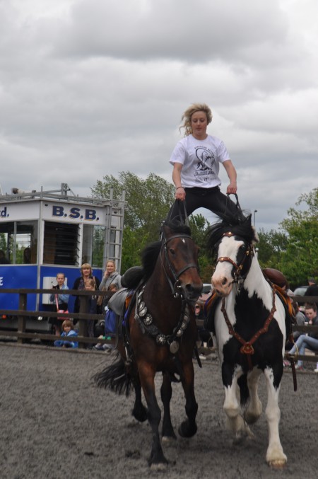 Atkinson Action Horses Roman riding - Reaseheath College