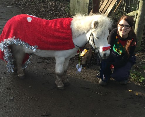 Nicole Hatcher with miniature Shetland pony ‘Frankie’