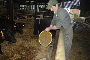 Larry Anscombe tops up calf pellets