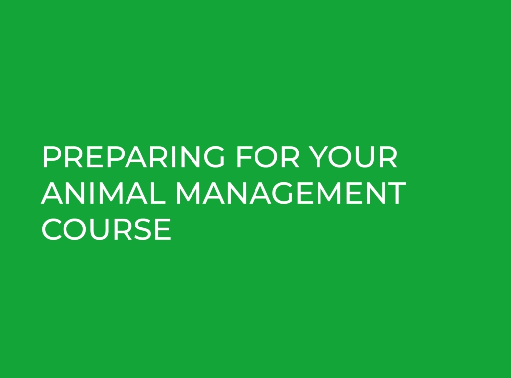 Animal Management Prep Reaseheath College