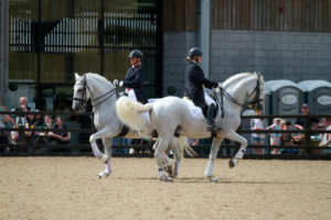 Equine displays were a huge success at last year's event