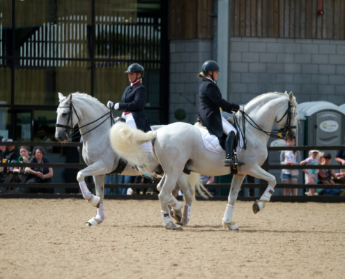 Equine displays were a huge success at last year's event
