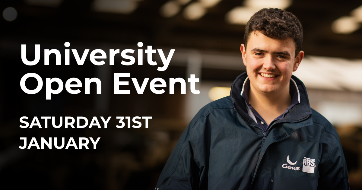 Eventbrite website event headers (51)