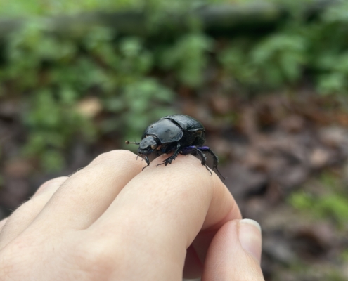 26.01.09_ Project DUNG nomination_SUPPLIED BY NICOLE HATCHER (1)