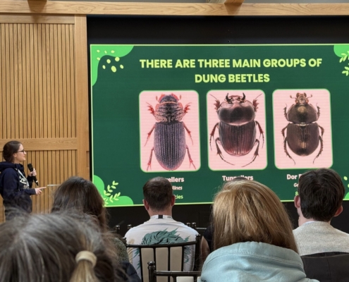 26.01.09_ Project DUNG nomination_SUPPLIED BY NICOLE HATCHER (3)