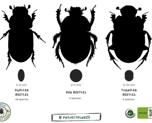 26.01.09_ Project DUNG nomination_SUPPLIED BY NICOLE HATCHER (4)