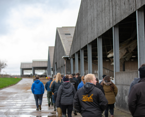 The Holstein UK ADTP group walks through a modern dairy unit. Visits included industry leaders like Thomasson Farms and Grosvenor Farms, showcasing the latest in technology and youngstock management.