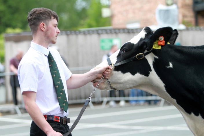 26.05.18 FamFest26 Cattle Show_08