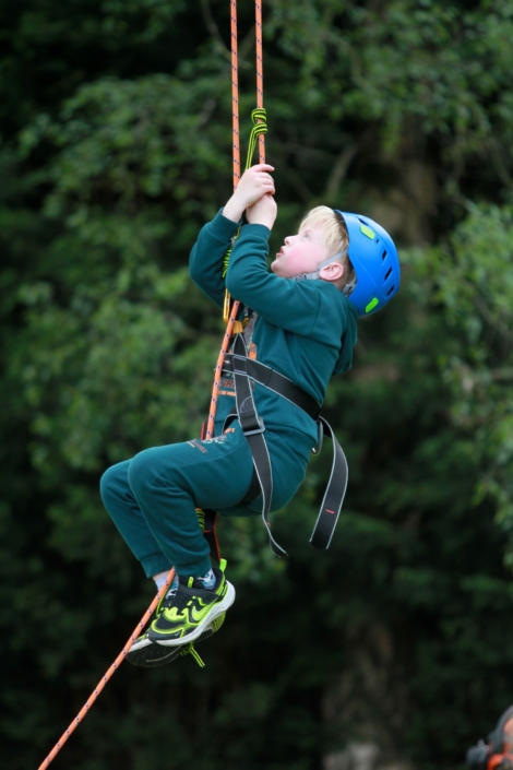 Family Festival – Tree Climbing