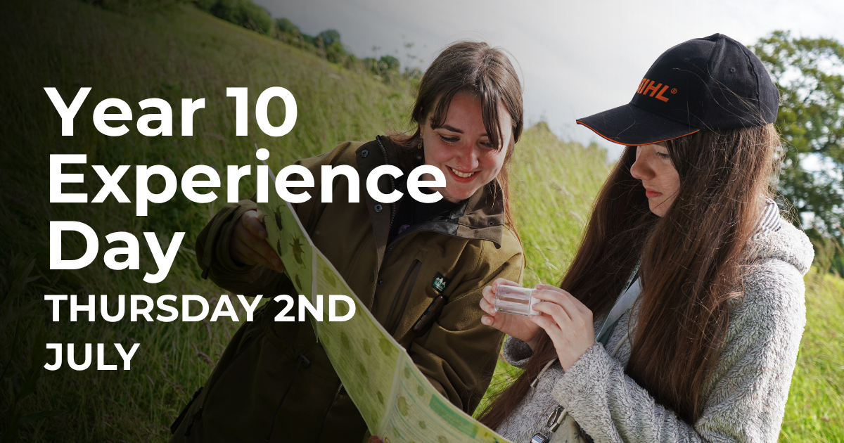 Year 10 experience day